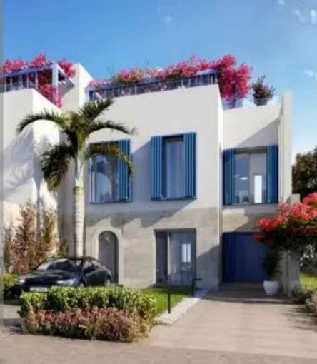 Picture of Test Again